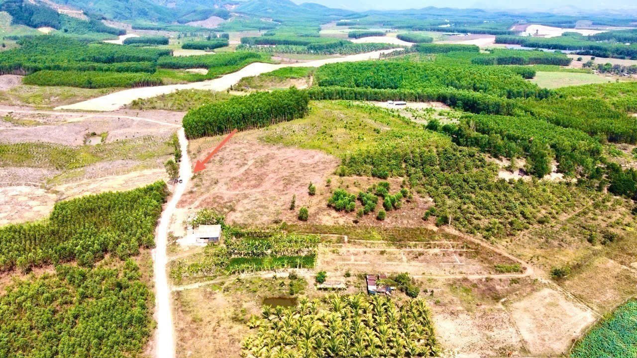 Bán đất vườn Diên Xuân giá rẻ mặt đường bê tông gần chợ gần khu dân cư 5