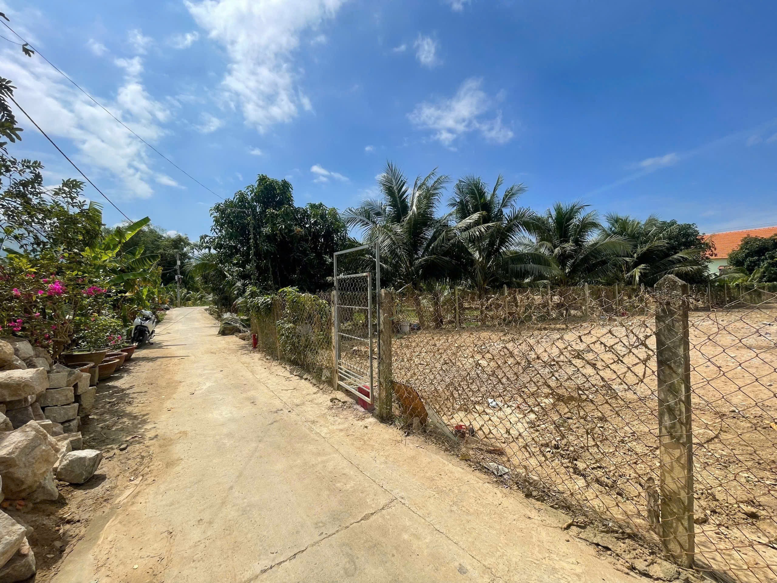 Bán đất Diên An giá rẻ thôn Phú Ân Nam 2 - đất dân cắt bán sổ hồng sẵn 2