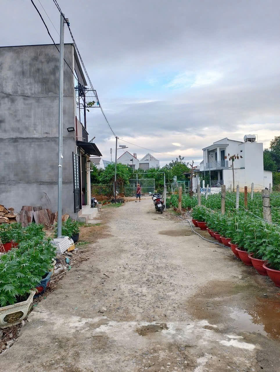 Bán đất Diên Toàn thôn Đông Dinh giá rẻ cạnh bên trục đường Nguyễn Trãi 3