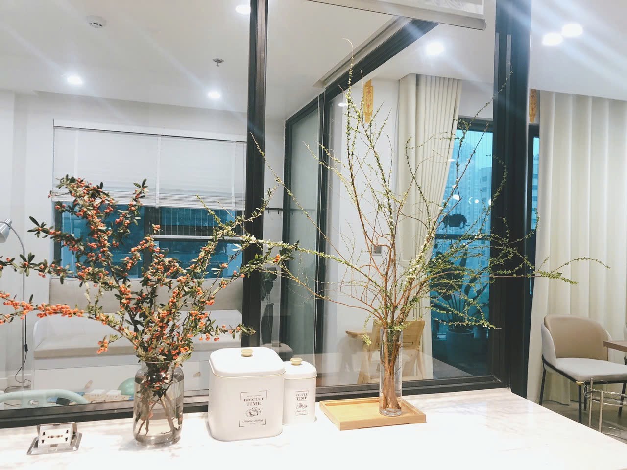 Cần bán căn hộ 2PN tại Imperia Garden dt 66m2 full đồ giá tốt 4