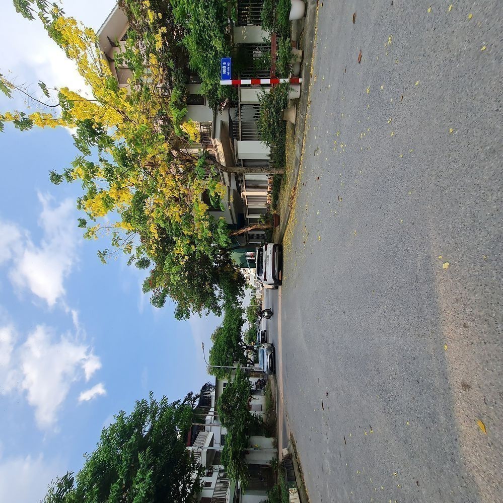Mở bát 2026 với lô góc 60m2 Tđc Trâu Quỳ, đường 13m và 5m giá đầu tư tốt. Lh 0989894845 Tôi có lô đ 3