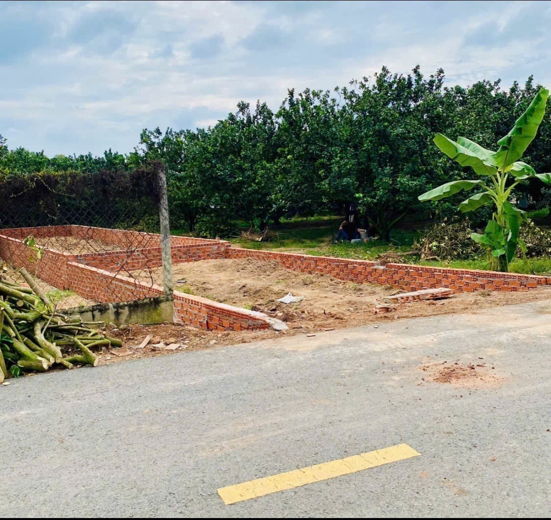 Cần bán Đất đường Tỉnh lộ 750, Xã Trừ Văn Thố, Diện tích 250m², Giá 950 Triệu 3