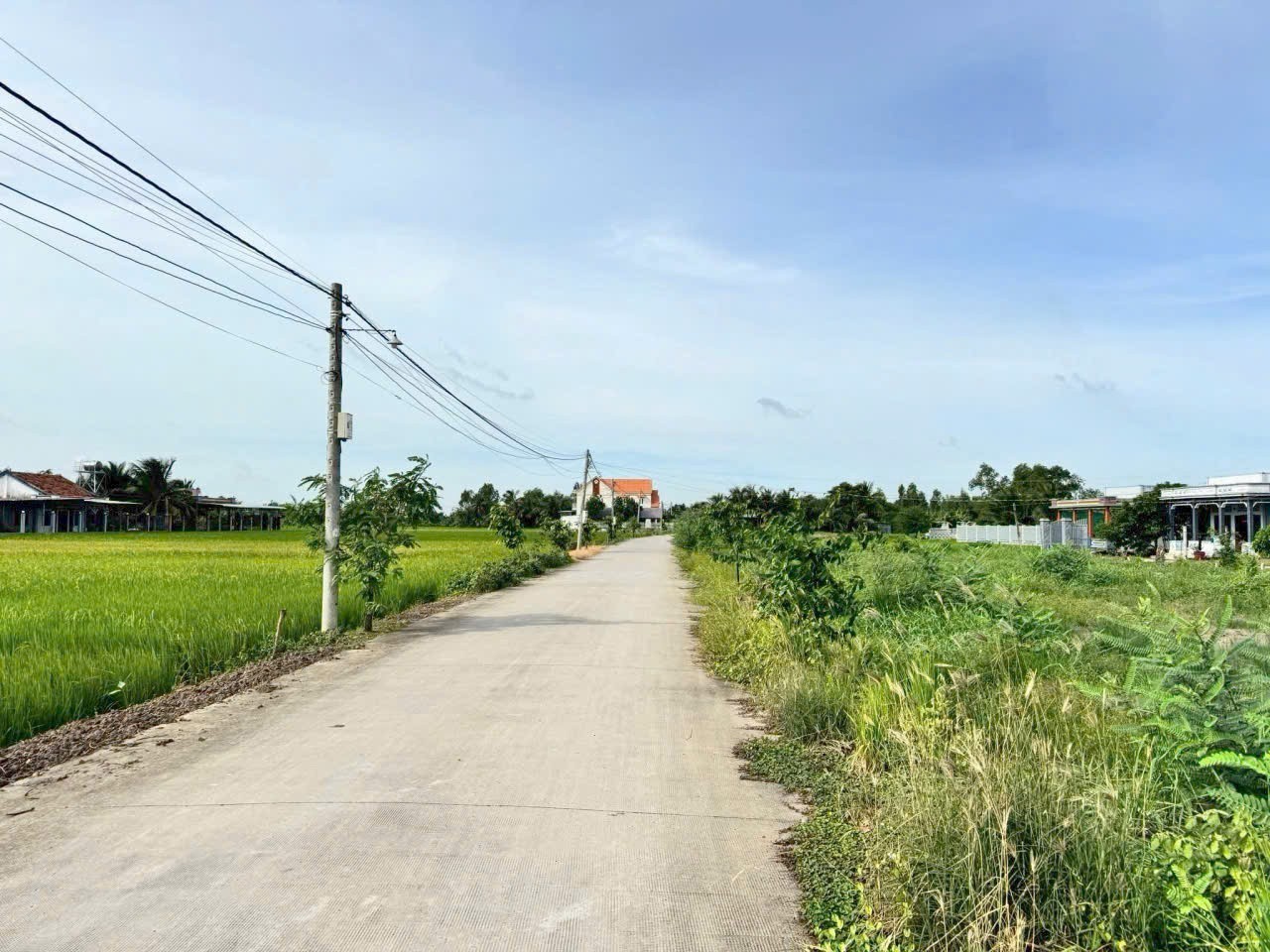 Đất thổ cư 350m2 mt đường 7m xã Tân Lân giá xả cuối năm 1 tỏi 250tr 2