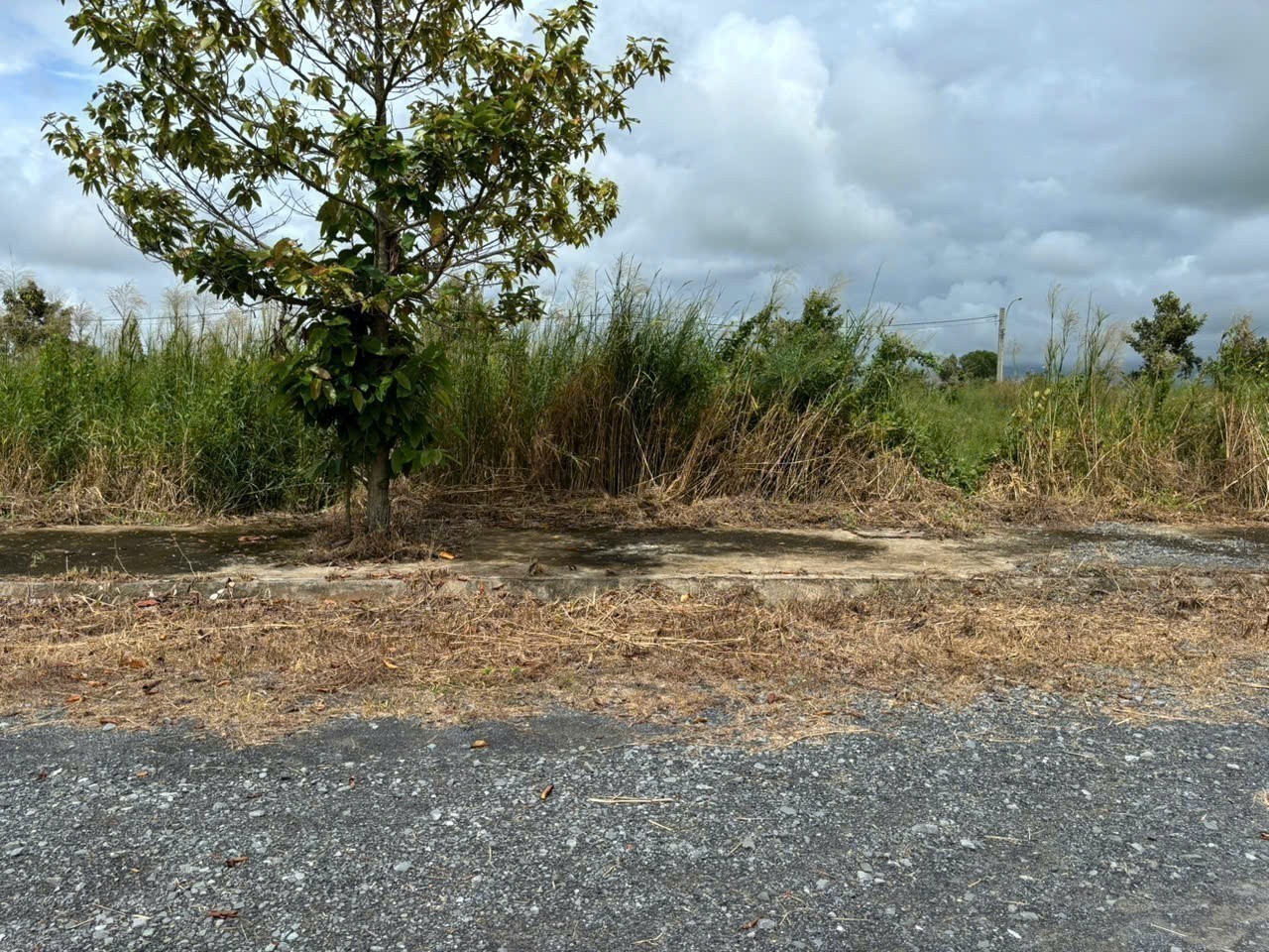 Đất nền giá rẻ cuối năm 100m2 kdc Phước Đông chỉ 900tr 5