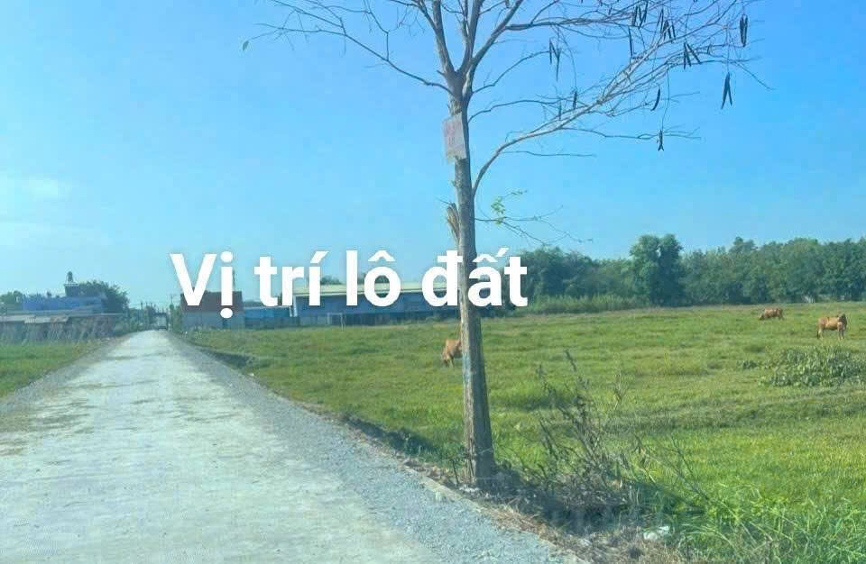 ĐẤT TRUNG AN – 1/ NGẮN BÀU TRÂM, KDC HIỆN HỮU – GIÁ CHỈ 3TR/M² 4