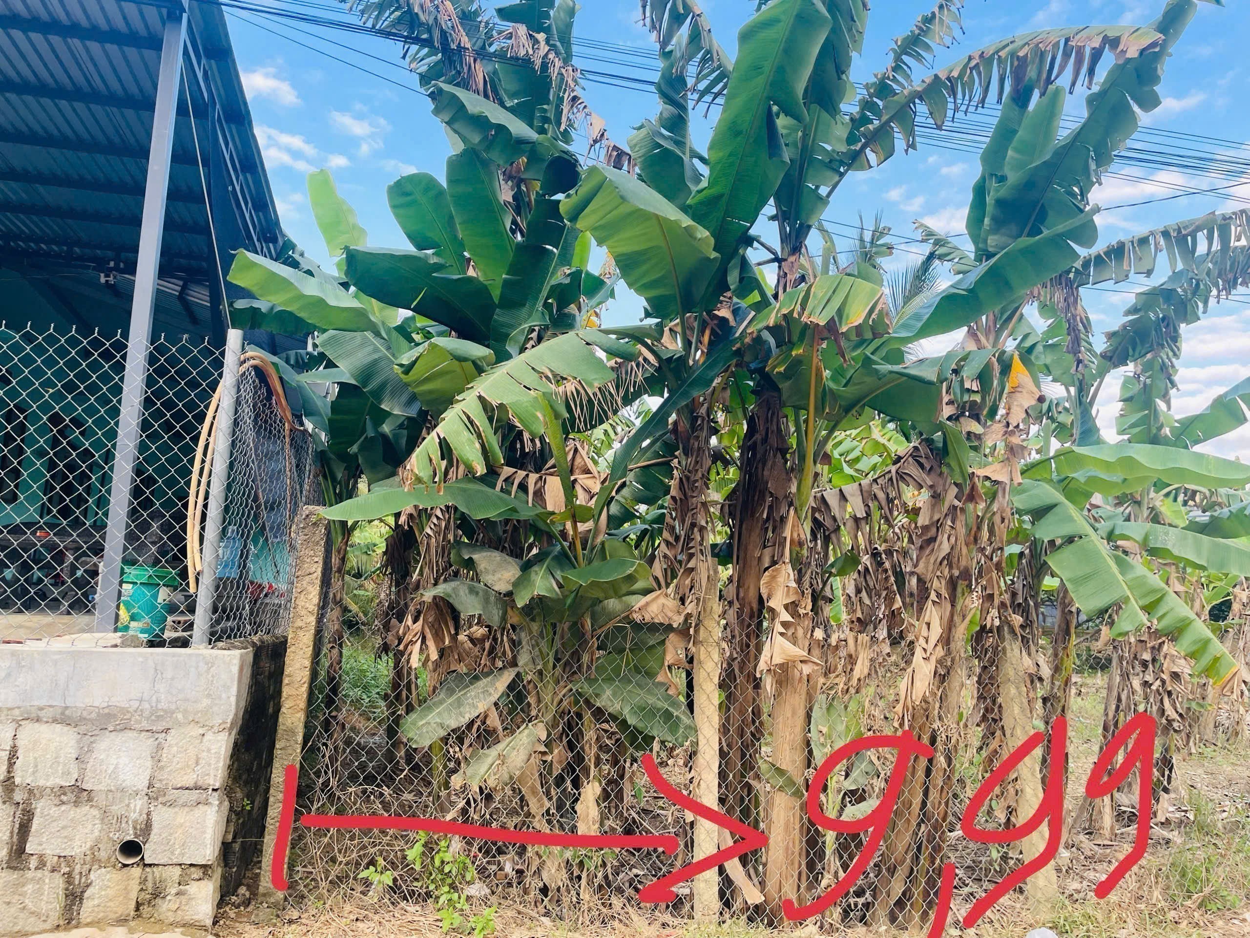 Bán đất thôn Mỹ Lợi giá chỉ 2,4tr/m2 xã Nam Ninh Hòa Khánh Hòa 0985451850 2