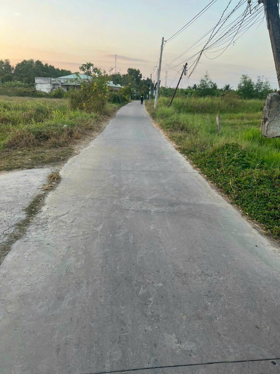 Bán đất mt đường Cây Điệp , Nhựt Chánh  tdt 2000m2 ( 180m2 thổ còn lại đất lúa ) giá 4,8 tỷ 2