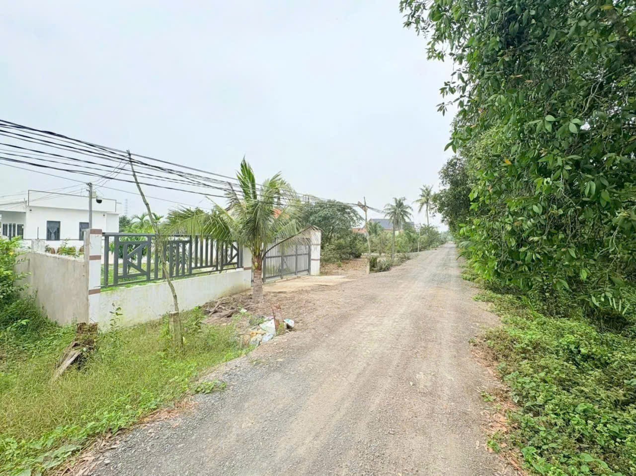 Bán đất thổ vườn đường đá xanh 6m tại Bình Đức, Bến Lức tdt 2000m2 ( 756m2 thổ ) giá 1,8 tỷ 2