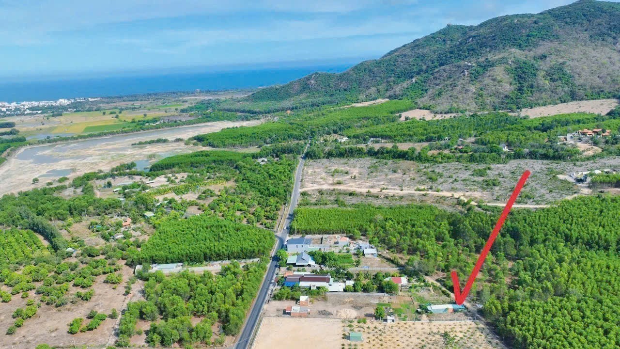 Cần bán Đất đường Tỉnh lộ 44A, Thị trấn Phước Hải, Diện tích 137m², Giá Thương lượng 5