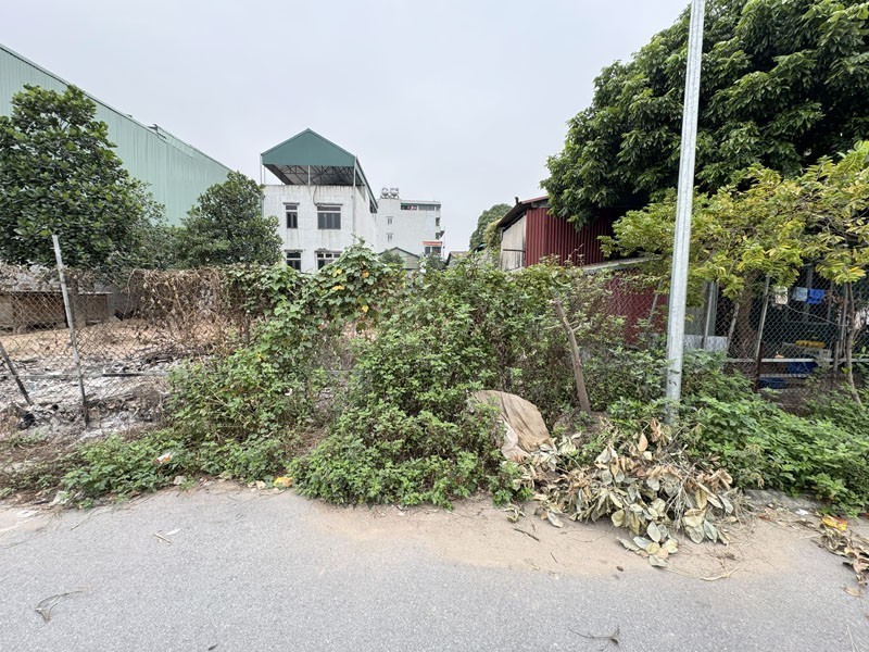 Chủ Gấp Rút Xây Nhà Cho Con - Bán Gấp 46,6m2 Lô Góc "Hoa Hậu" Đông Dư - Sát Cầu Thanh Trì 3