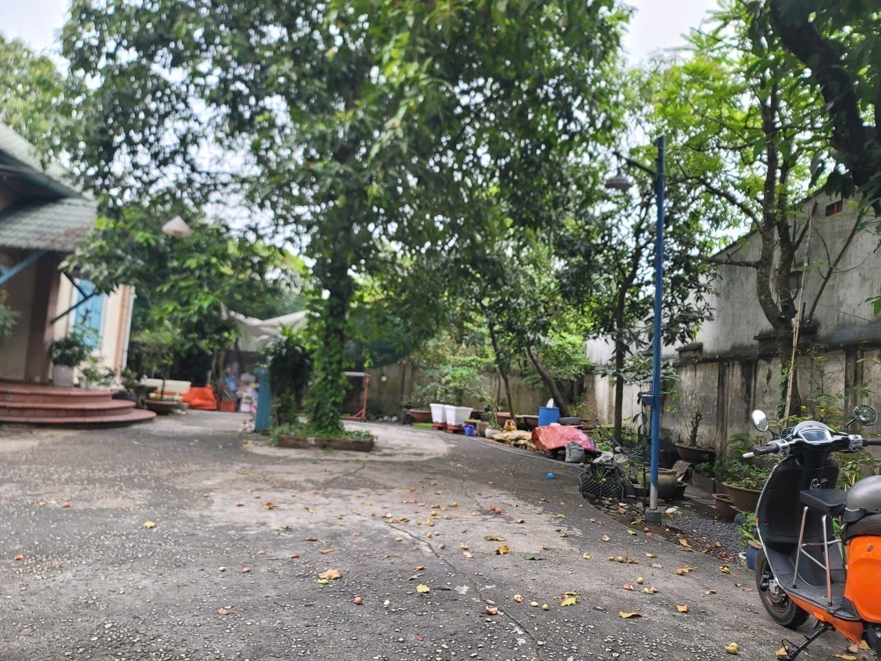 HÀNG THƠM HIẾM – BIỆT THỰ 800m² TRẦN VĂN MƯỜI – GIÁ CHỈ 10,5 TỶ 5