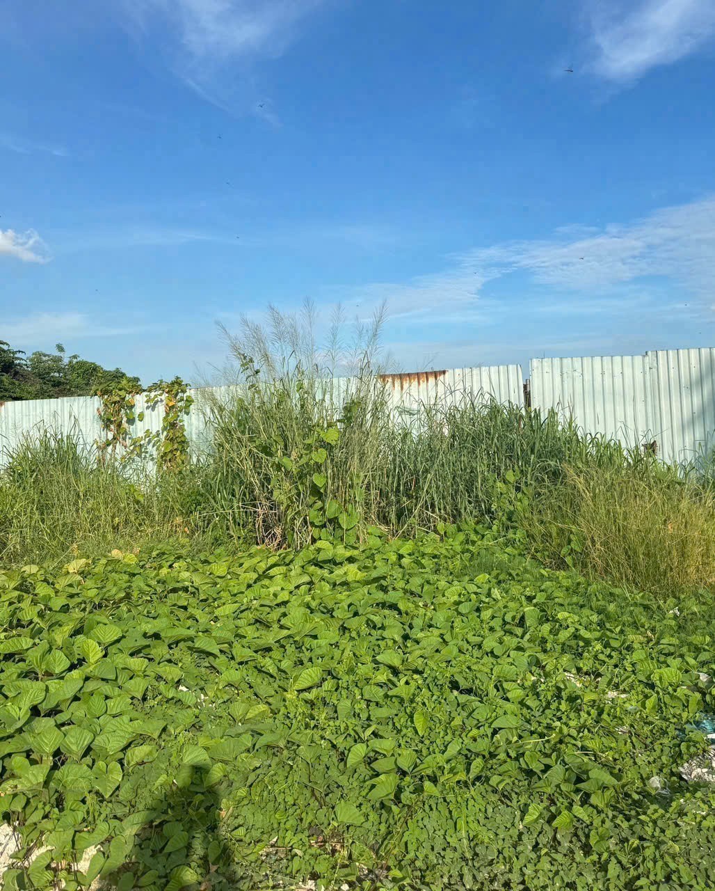 SIÊU QUỸ ĐẤT MẶT TIỀN RẠCH VƯỜN LÀI – AN PHÚ ĐÔNG Q12 – GẦN 3.800M² 5