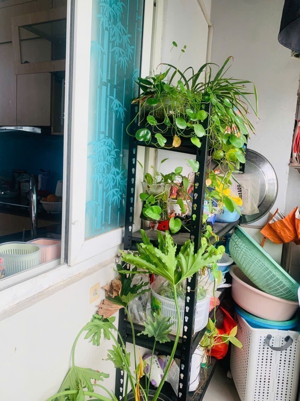 BÁN CĂN HỘ CHUNG CƯ THANH HÀ  HÀ ĐÔNG | VIEW HỒ | 65M² 3