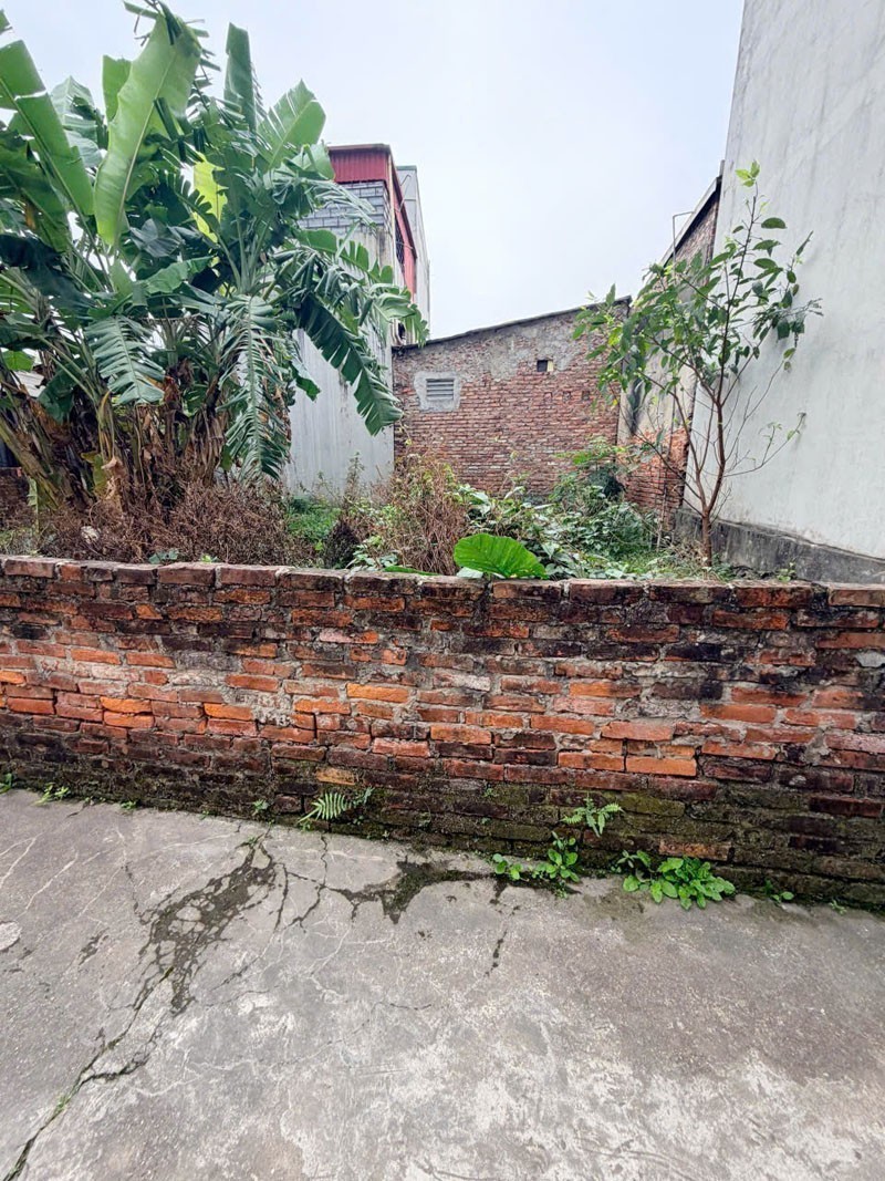 Bán đất Phúc Lợi 55,8m2 Ngõ 321, Mặt tiền rộng 6,38m, Sát ô tô, Gần Ruby 4 & Chợ, Sổ đỏ 3