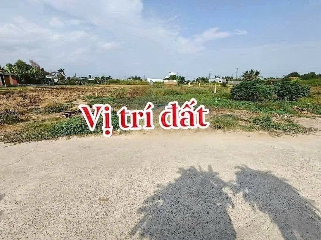 Bán đất thổ lúa xã Thạnh Đức, Bến Lức tdt 870m2 ( 300m2 thổ cư ) đường beton 4,5m giá 2,2 tỷ 4