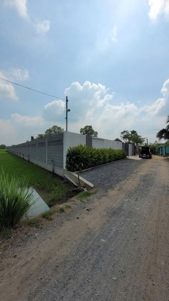 Bán đất thổ vườn xã Phước Lợi , Bến Lức tdt 1967m2 ( 300m2 thổ ) có tường rào bao quanh giá 6,45 tỷ 4
