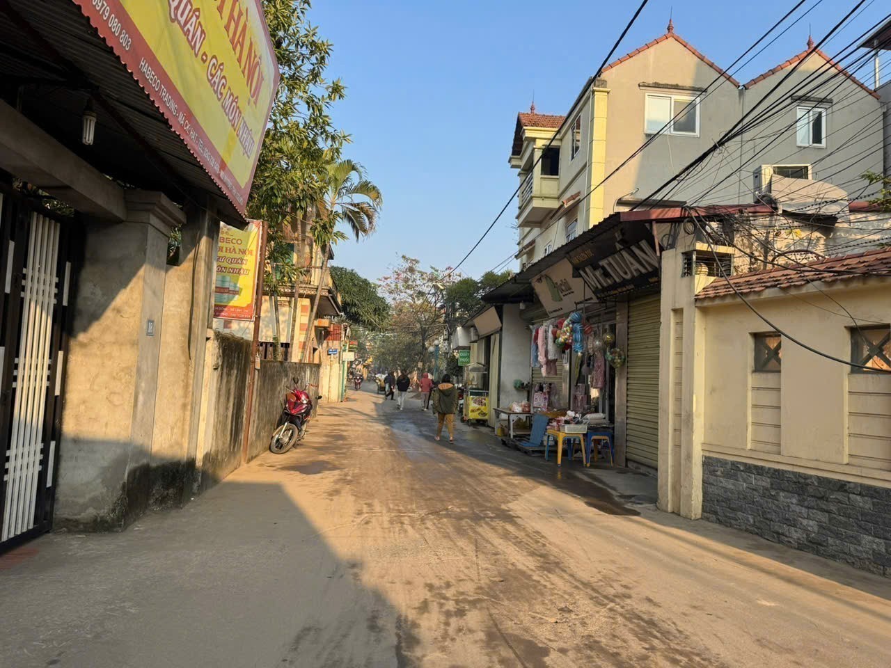 Bán Đất Trục Chính Quang Minh - Mê Linh - 54m2 - Ô Tô Tránh - Kinh Doanh Tốt 3