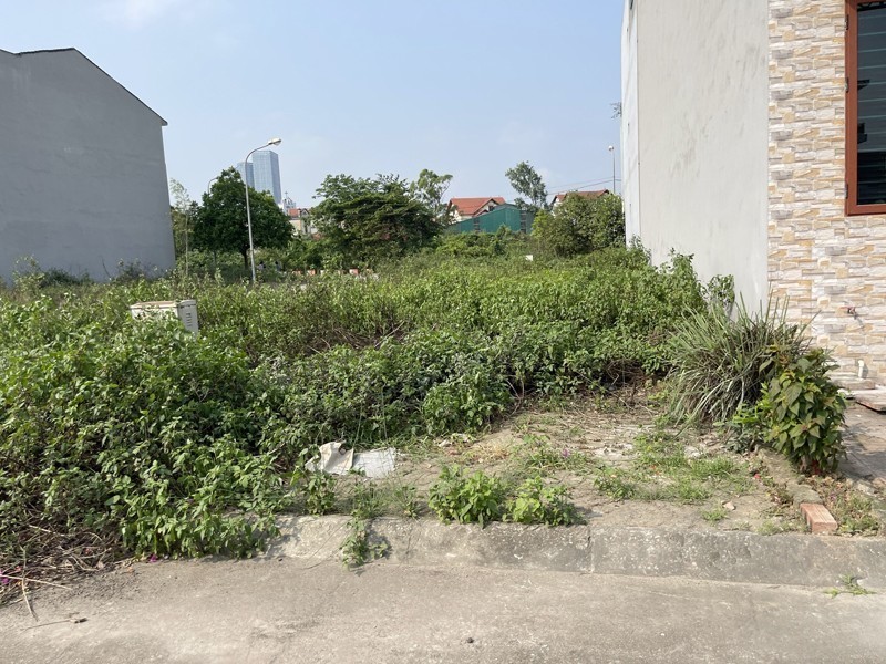Bán đất tái định cư Ngọc Động 80m2, view vườn hoa cực thoáng, cạnh Vin Safari, đường 11m có vỉa hè. 3