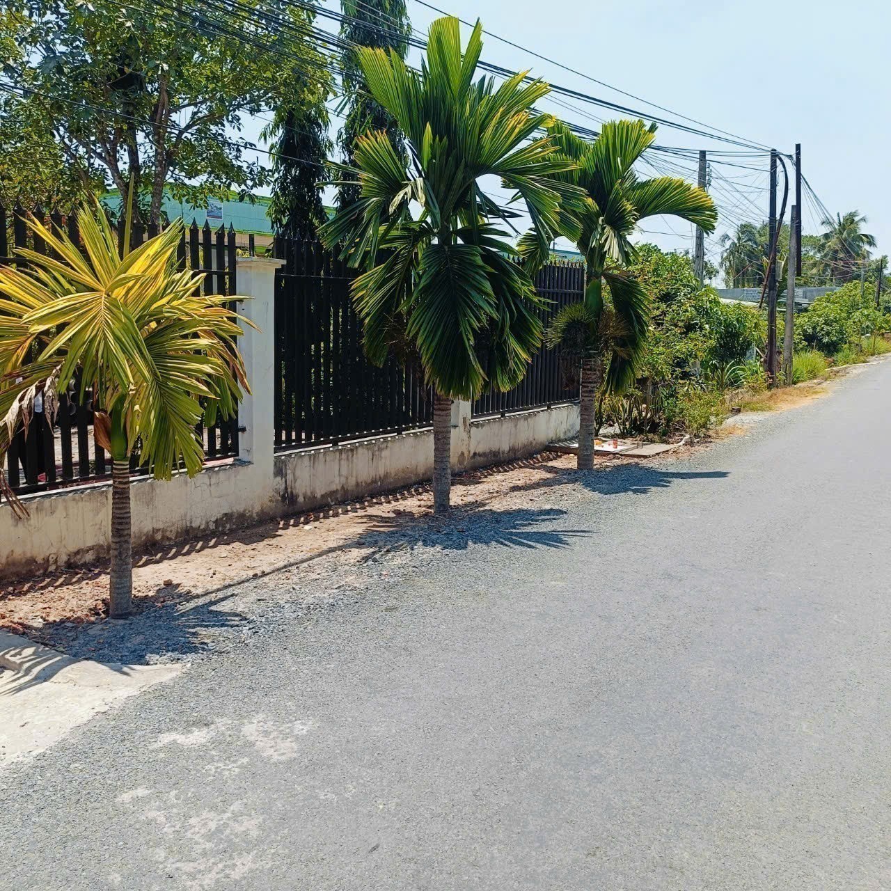 Bán nhà vườn mt đường Nguyễn Văn Ngộ , Nhị Thành , Thủ Thừa tdt 3200m2 ( 620m2 thổ) giá 9 tỷ 3
