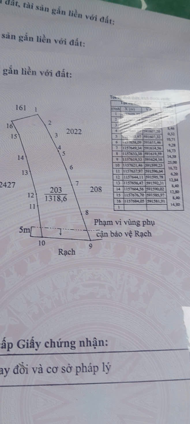 Đất lúa 1300m2 mt sông Vàm Cỏ xã Tân Chánh giá rẻ 550tr 4