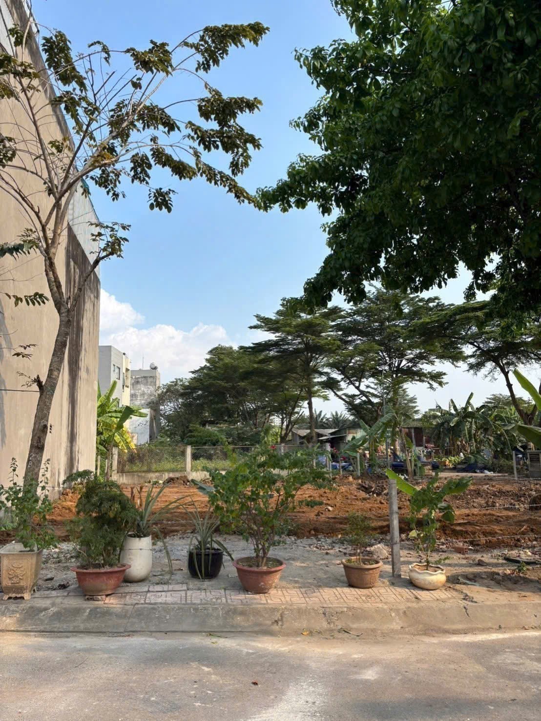 Cần bán Đất Phường Phú Hữu, Quận 9, Diện tích 456m², Giá 17.3 Tỷ 3