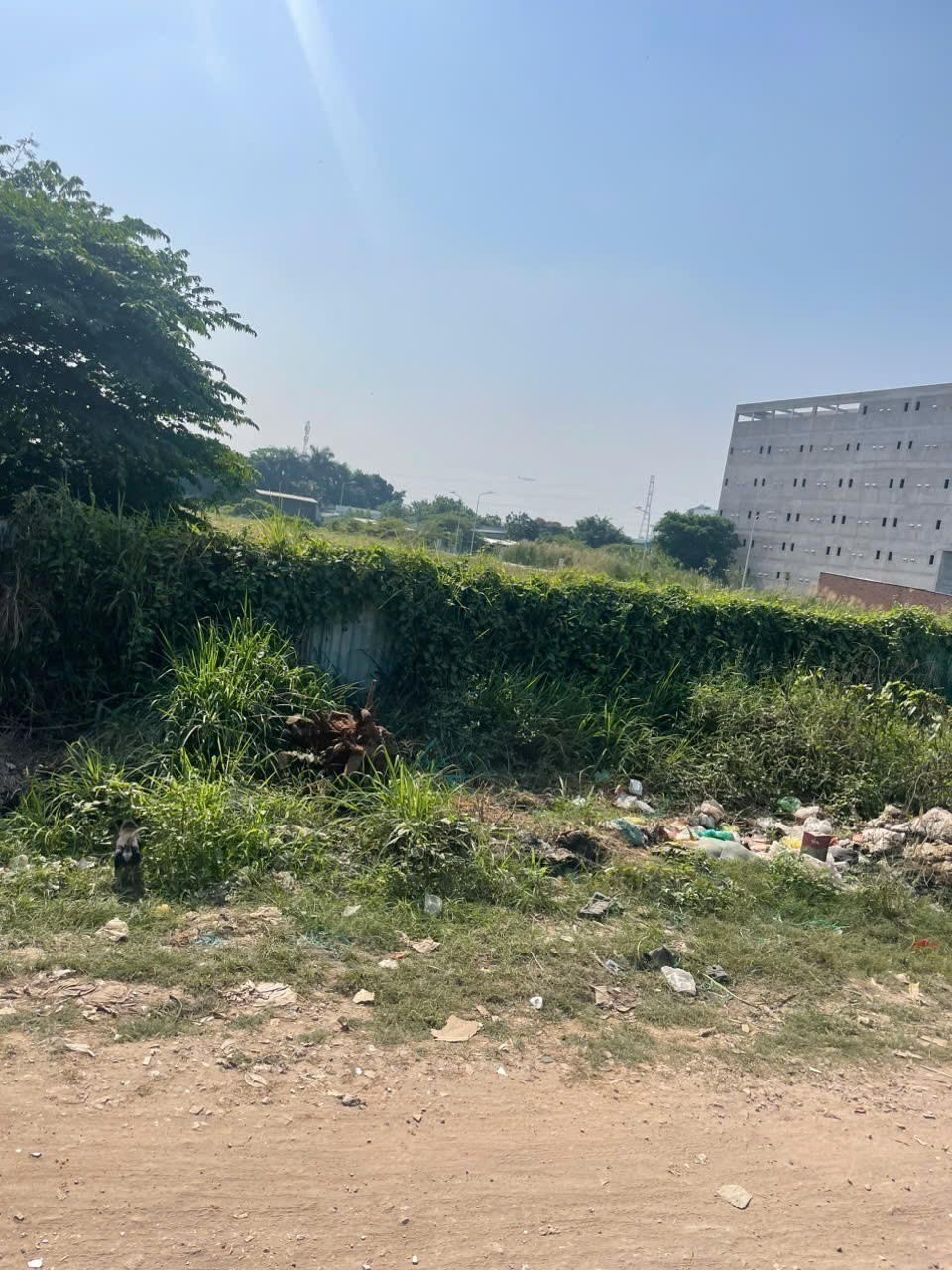 Bán đất mặt tiền Rạch Vườn Lài Quận 12 – diện tích 3.786m² – gần QL1A – thổ cư lớn 5