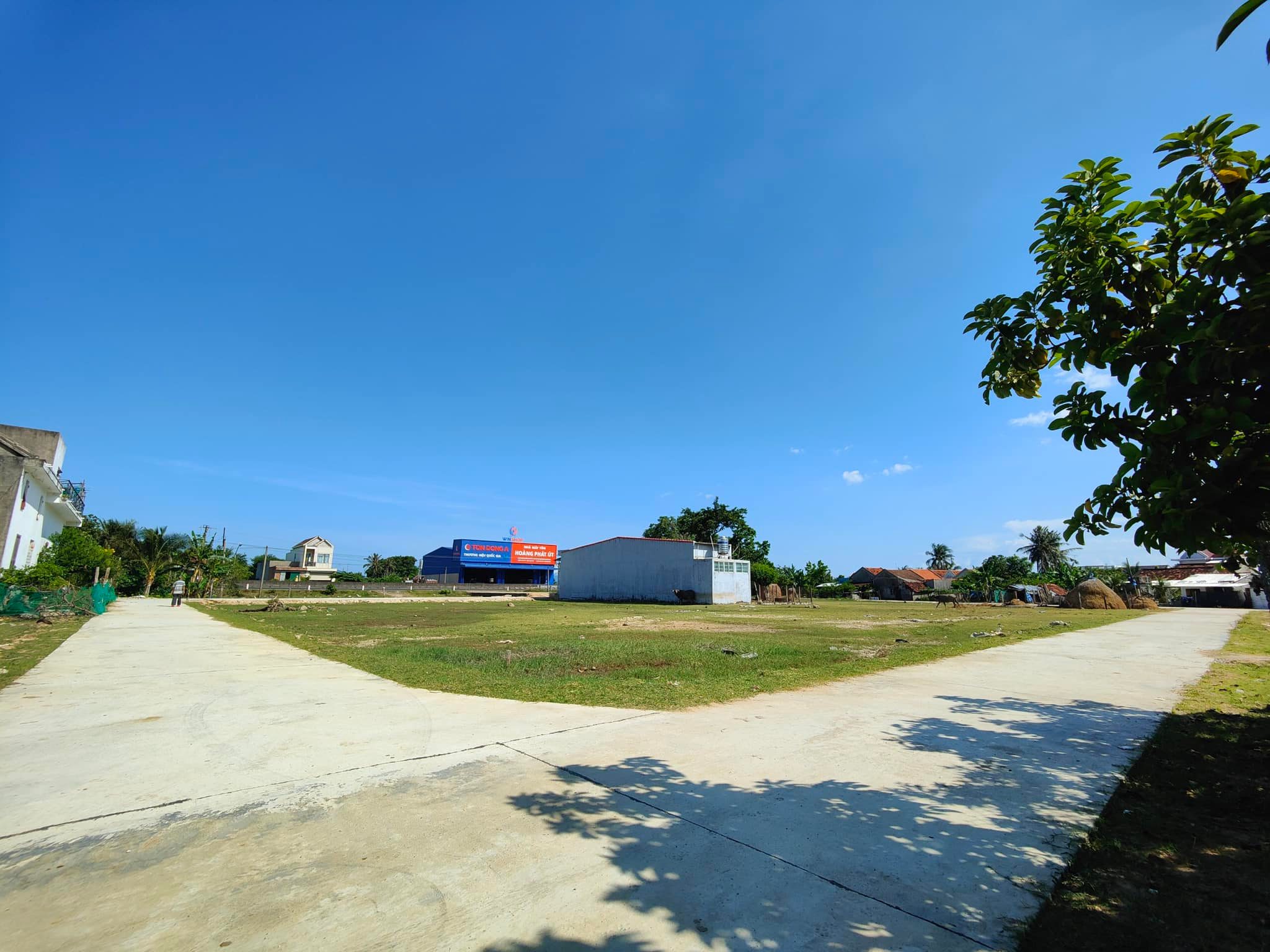 Cần bán Đất đường Quốc lộ 1A, Xã Hòa Vinh, Diện tích 127m², Giá 1750 Triệu 1