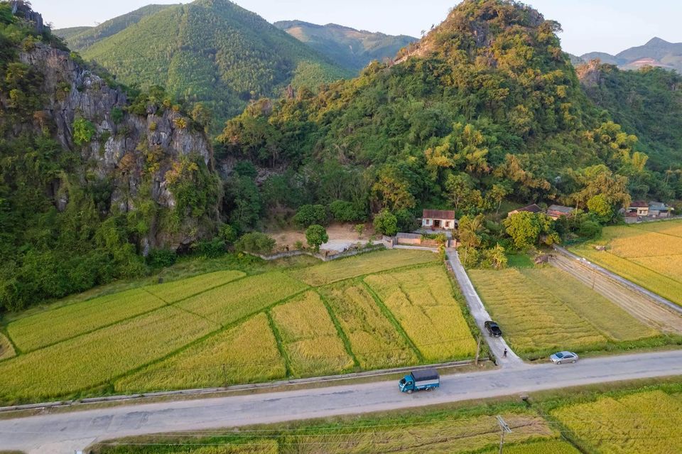 Gđ cần bán mảnh trang trại vườn tại Xã Sơn Dương, Hoành Bồ, tp Hạ long rộng hơn 3,000m2 3