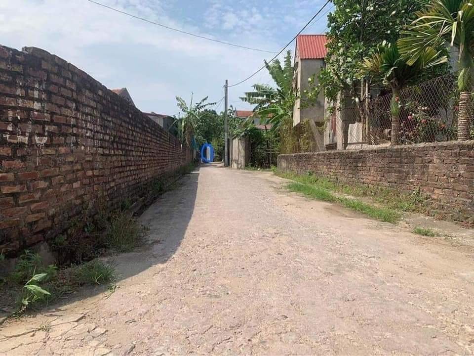 Cần bán Đất Xã Liên Nghĩa, Văn Giang, Diện tích 154m², Giá 39 Triệu/m²