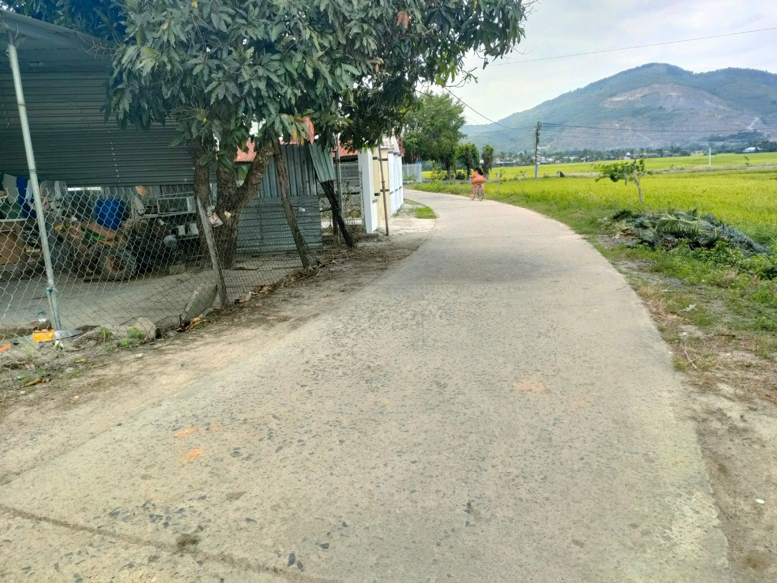 Cần bán Đất đường Cây Da, Xã Diên Sơn, Diện tích 330m², Giá 1150 Triệu 2