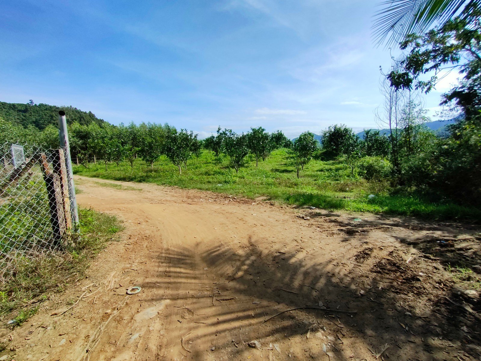 Bán vườn bưởi sông Cầu giáp sông 2