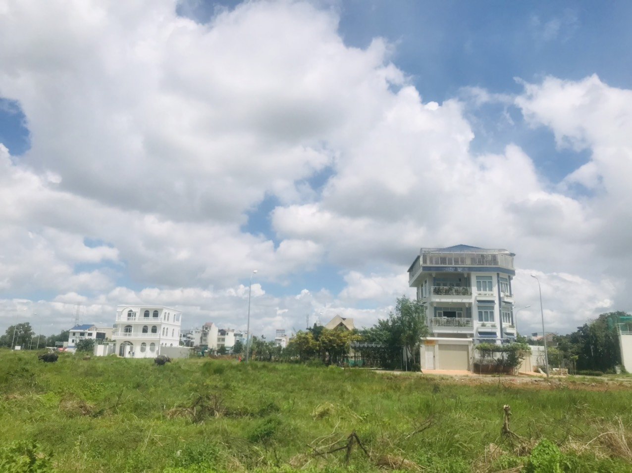 Chuyên đất nền dự án khu biệt thự Phú Nhuận-Phước Long B Quận 9 cam kết giá thấp nhất 6