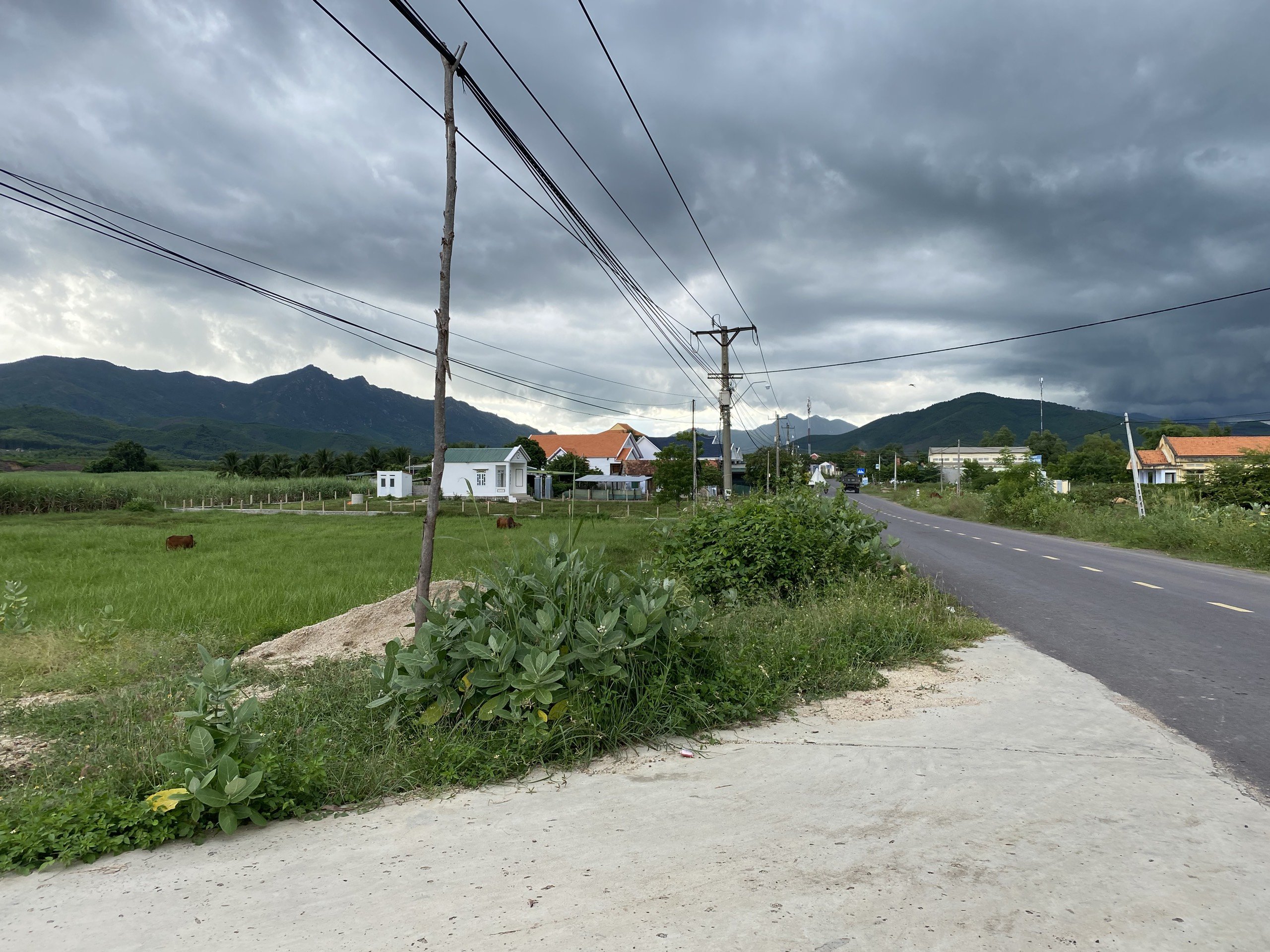 Cần bán Đất cách đường Tỉnh Lộ 5 chỉ 35m, Xã Ninh Tân, Diện tích 243m² full thổ cư