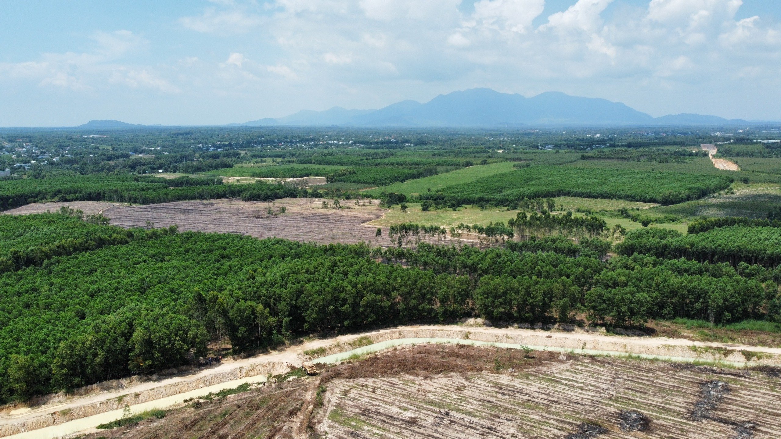 Cần bán Đất đường Nguyễn Trãi, Xã Tân Bình, Diện tích 1000m², Giá 500 Triệu 6