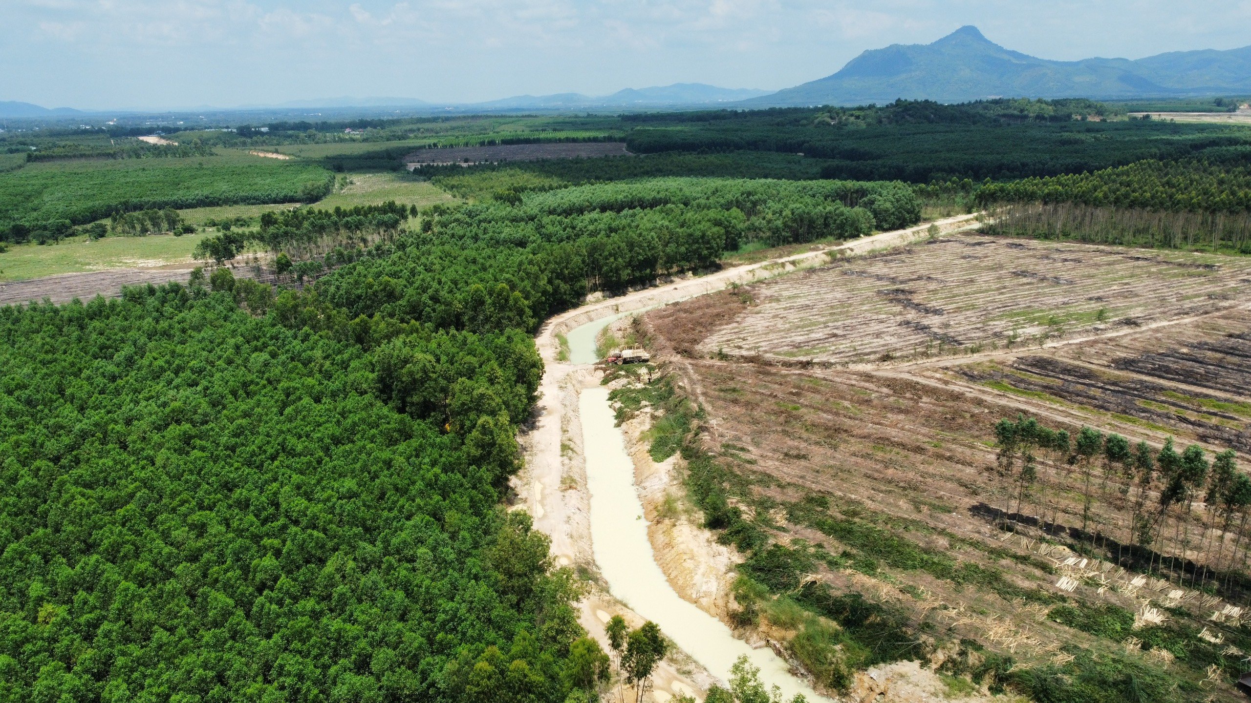 Cần bán Đất đường Nguyễn Trãi, Xã Tân Bình, Diện tích 1000m², Giá 500 Triệu 7