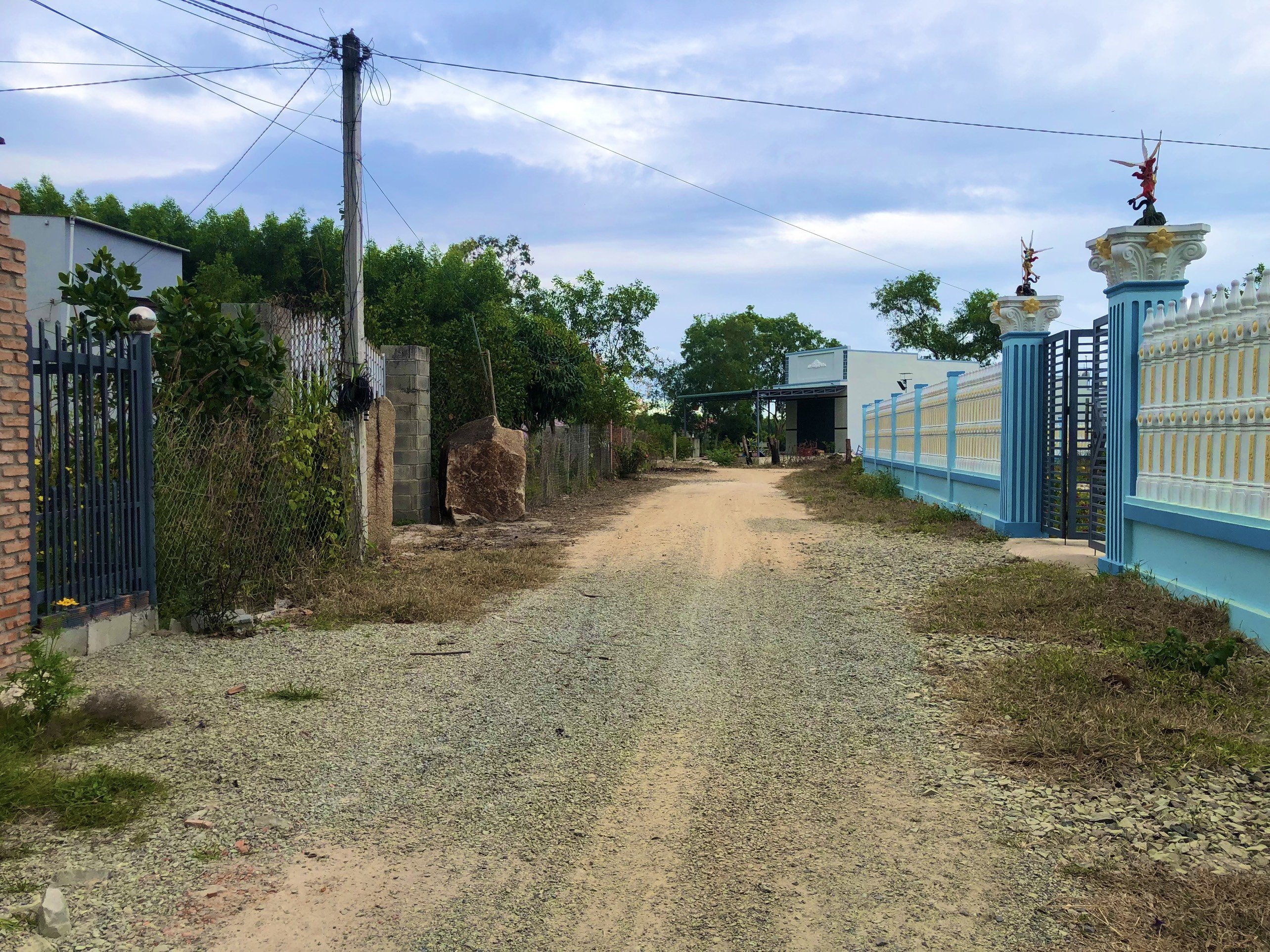 Cần bán Đất đường Nguyễn Trãi, Xã Tân Bình, Diện tích 167m², Giá 1.150 Tỷ