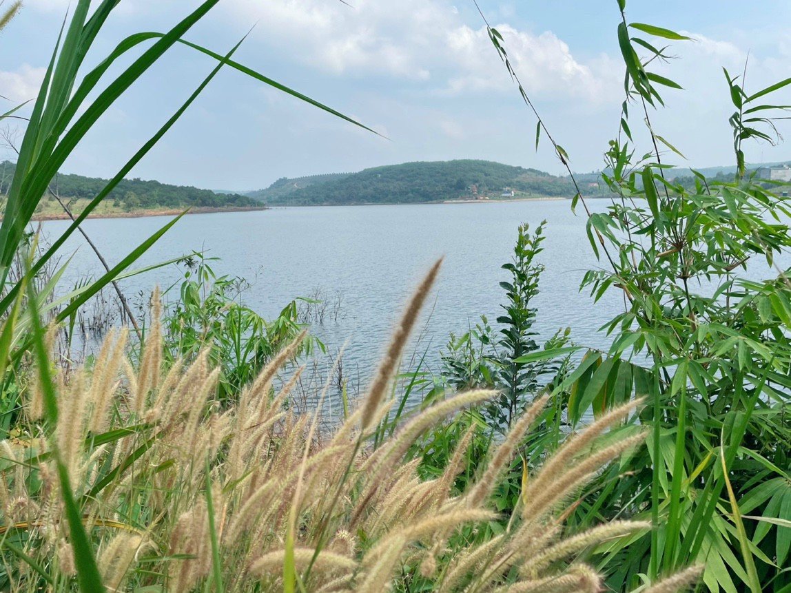 Bán 4 lô đất, view đẹp nhất hồ Đăk Kar, Đăk Nông. Tổng diện tích: 13329 m2. Giá: 500tr/1000m2. 2