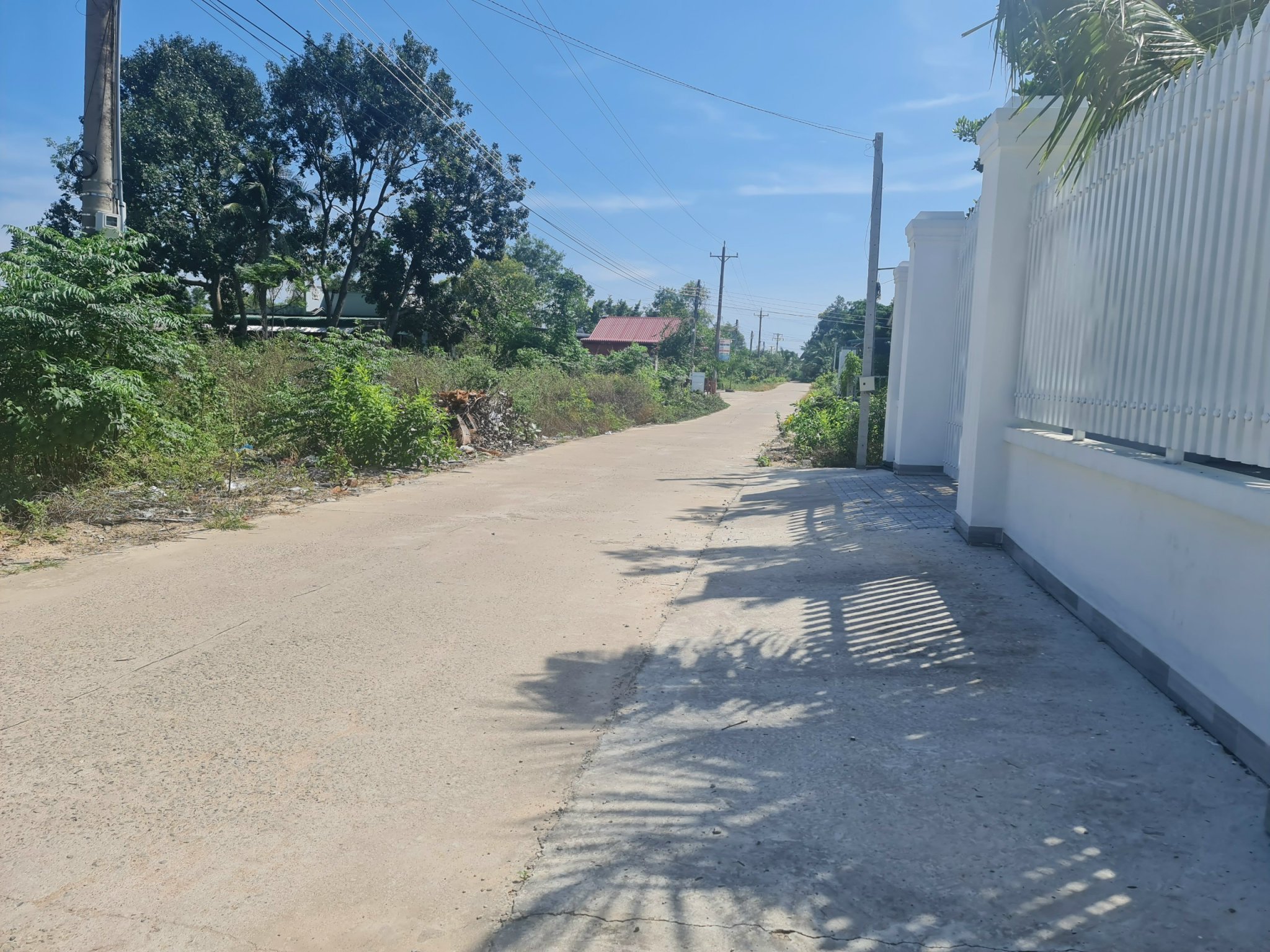 Cần bán Đất đường Nguyễn Du, Xã Tân Phước, Diện tích 282m², Giá 2.660.000.000 Tỷ 3
