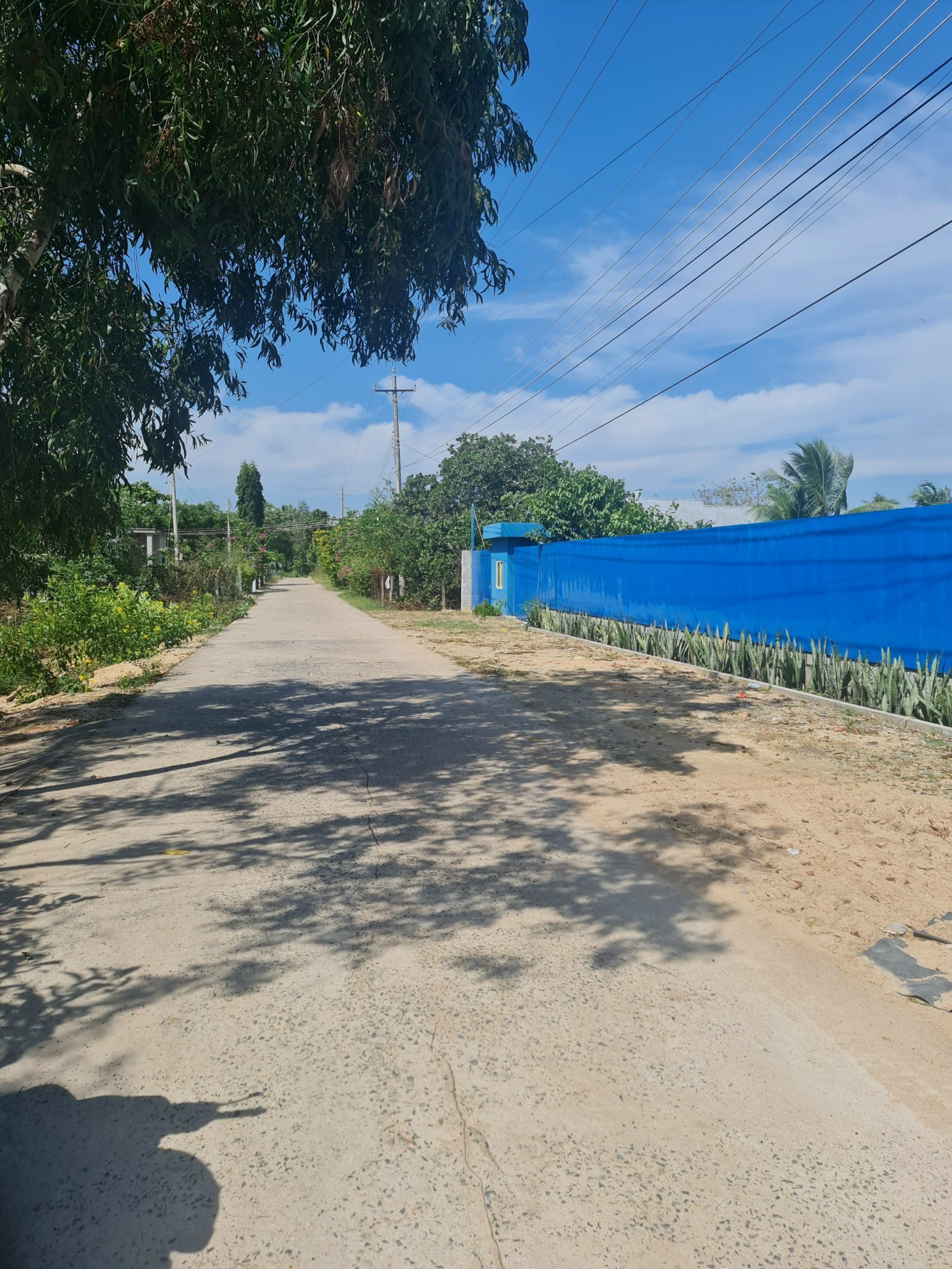 Cần bán Đất đường Nguyễn Du, Xã Tân Phước, Diện tích 282m², Giá 2.660.000.000 Tỷ 5
