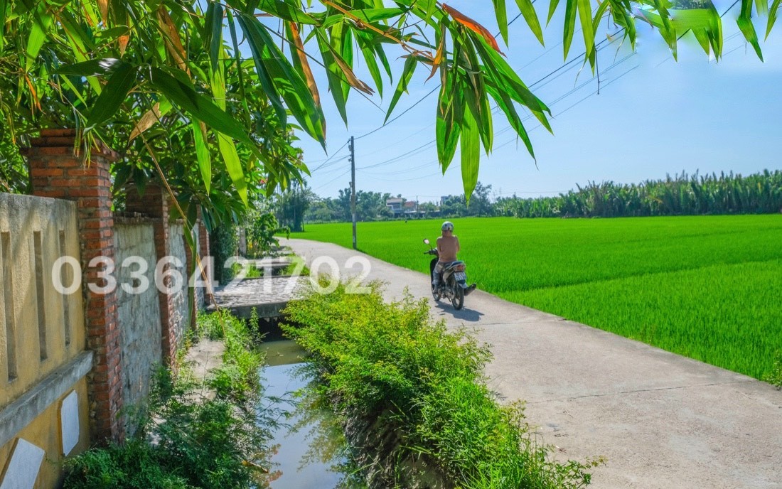 Siêu phẩm lô view lúa nở hậu sát chuỗi Resort Nam Hội An/Sổ hồng/195m2 3