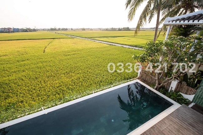 Lô đôi ngang 11m nở hậu view lúa cực chill giáp Resort ven sông Hội An 3