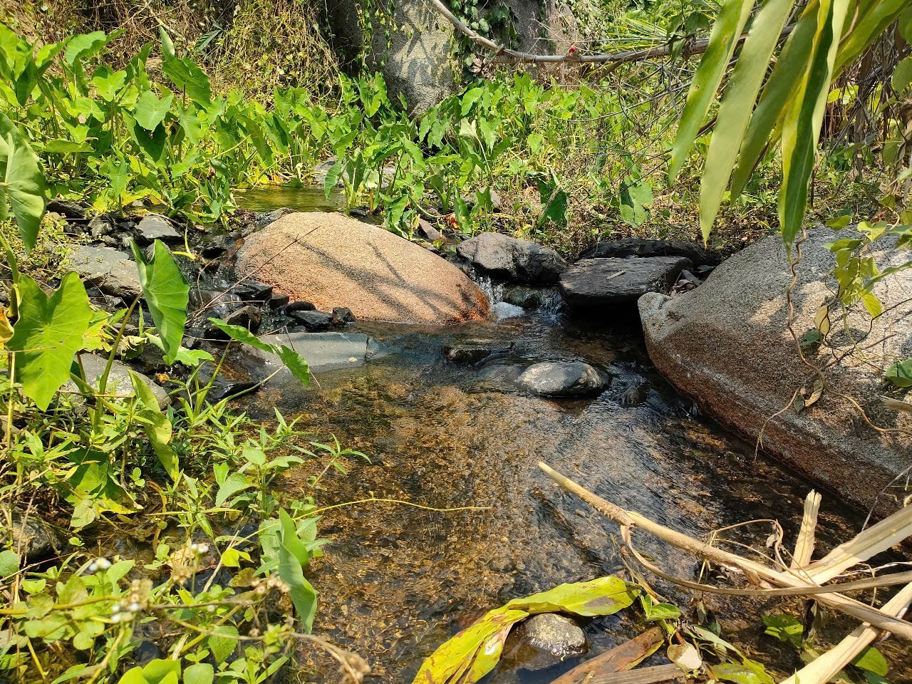 Bán đất vườn Khánh Nam giáp suối đá chảy quanh năm 4