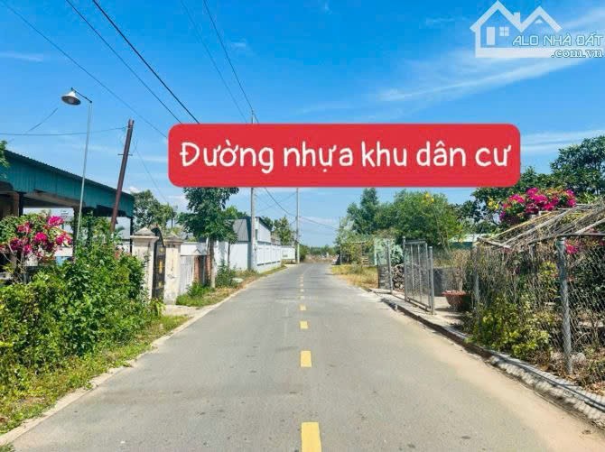 Cần bán Đất Đất Đỏ, Bà Rịa Vũng Tàu, Diện tích 200m², Giá 2.500.000 Triệu/m² 4