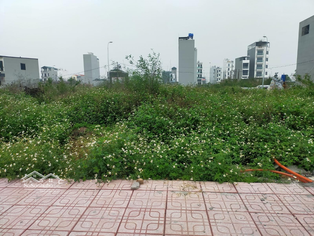 Đất dịch vụ Song Phương Hoài Đức dt78m2, mặt tiền 5,1m, đường 12m, giá chỉ 143tr/m2 2