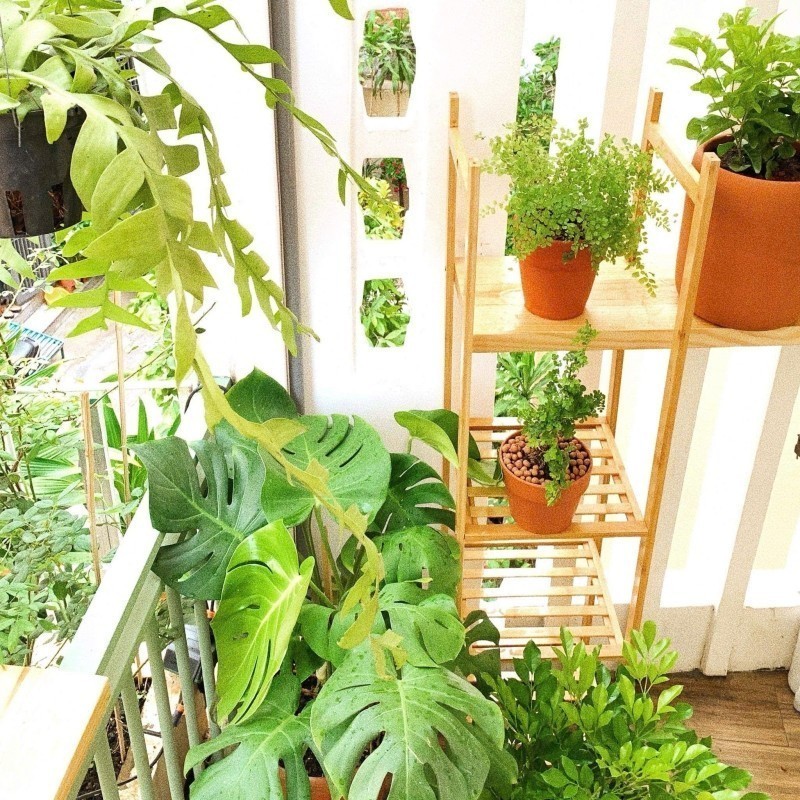 ‼Thích Quảng Đức Phú Nhuận – Hẻm đẹp yên tĩnh – 34m2 nở hậu – chỉ hơn 5 tỷ 5