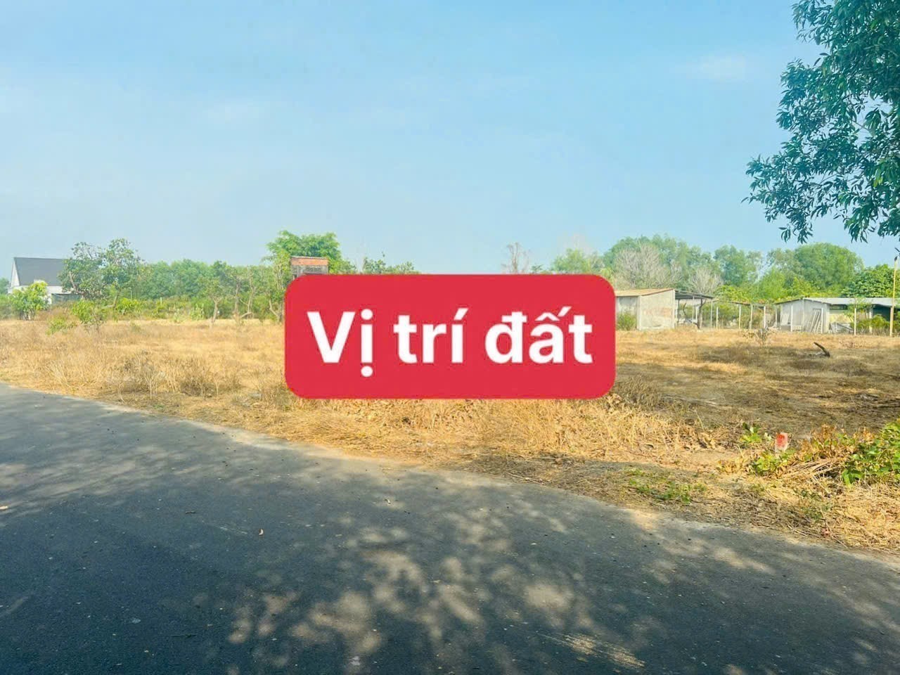 Cần bán Đất đường 44A, Thị trấn Phước Hải, Diện tích 194m², Giá 900 Triệu 2