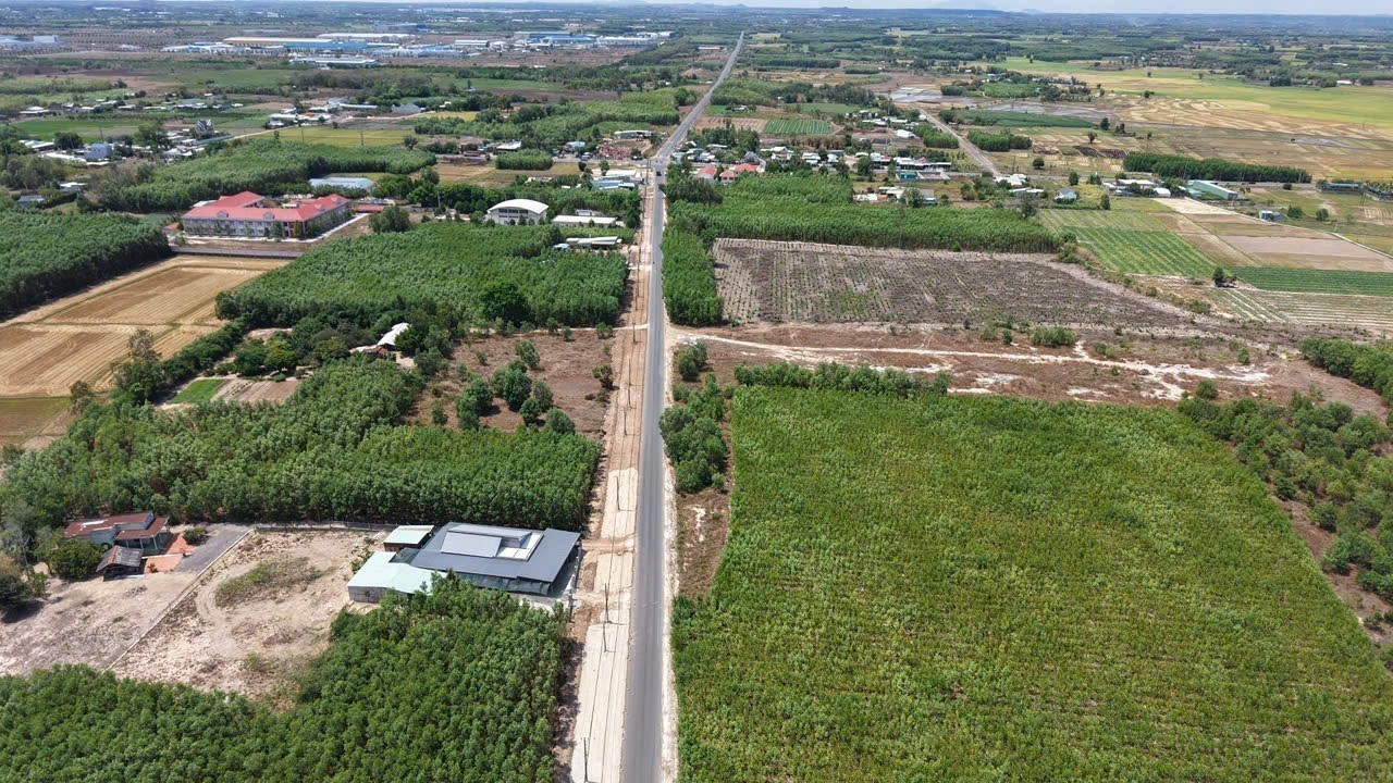 Cần bán Đất đường Long Tân-Láng Dài, Xã Phước Long Thọ, Diện tích 5569m², Giá 1.25 Tỷ 2