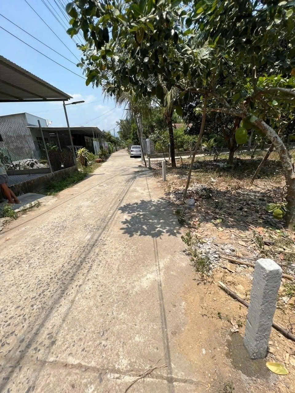 Bán đất Diên Lâm thôn Thượng giá rẻ full thổ cư sát bên Hương Lộ 39 4