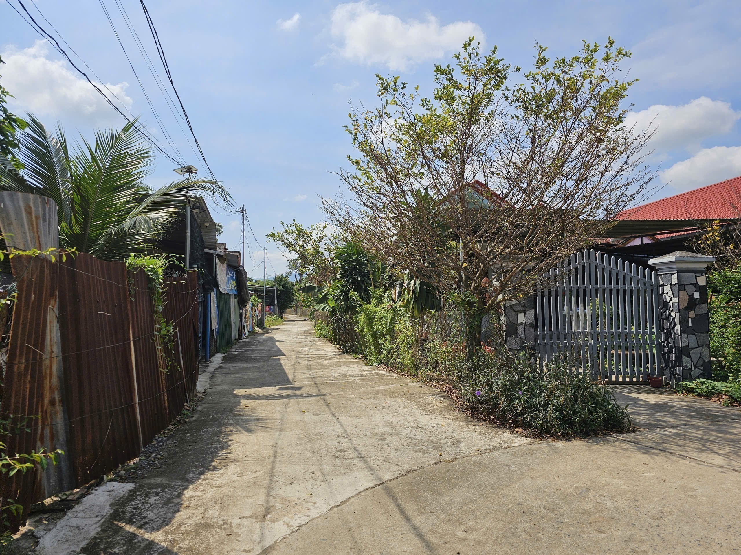 Bán đất Diên Phước giáp ranh Diên Hoà cách Hương Lộ 39 chỉ 200m 6