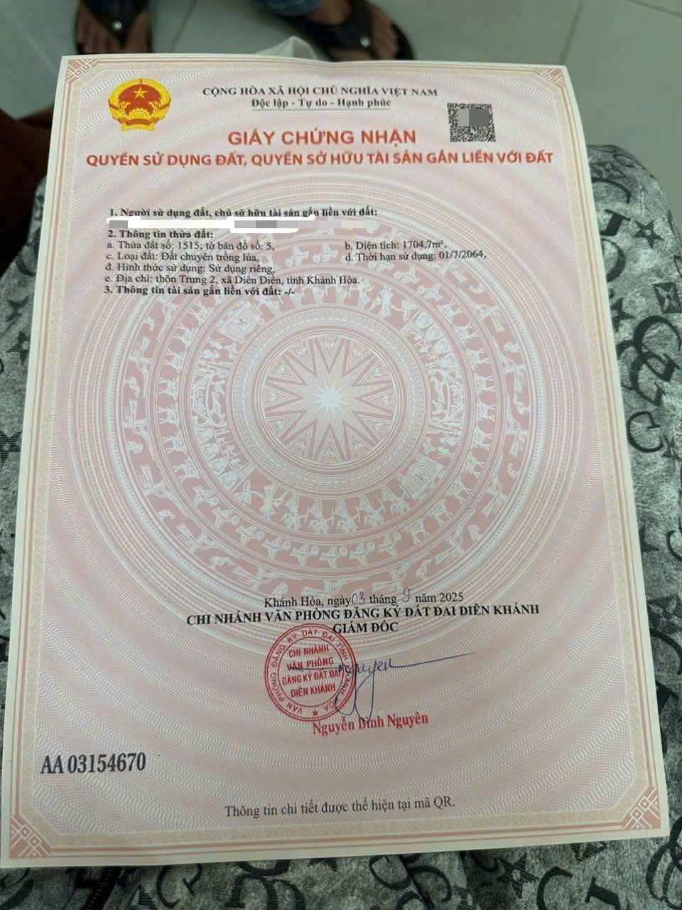 Bán ruộng Diên Điền thôn Trung 2 sát bên Hương Lộ 5 và Am Chúa chỉ 95 triệu 1 Sào 6